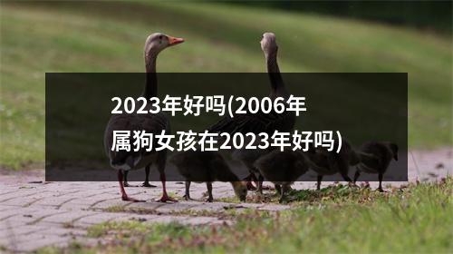 2023年好吗(2006年属狗女孩在2023年好吗)