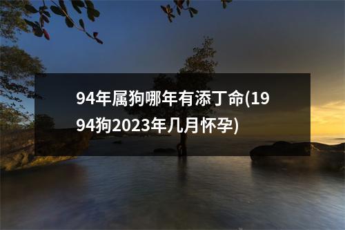 94年属狗哪年有添丁命(1994狗2023年几月怀孕)