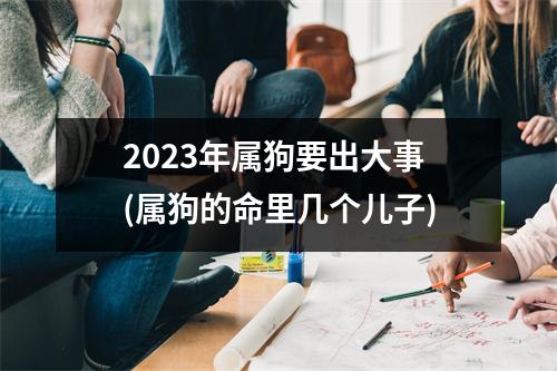 2023年属狗要出大事(属狗的命里几个儿子)