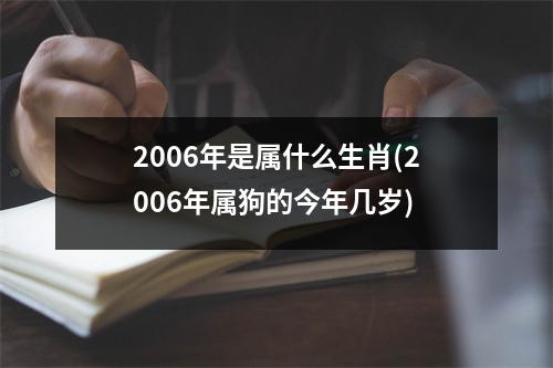 2006年是属什么生肖(2006年属狗的今年几岁)