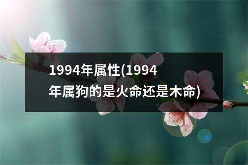 1994年属性(1994年属狗的是火命还是木命)