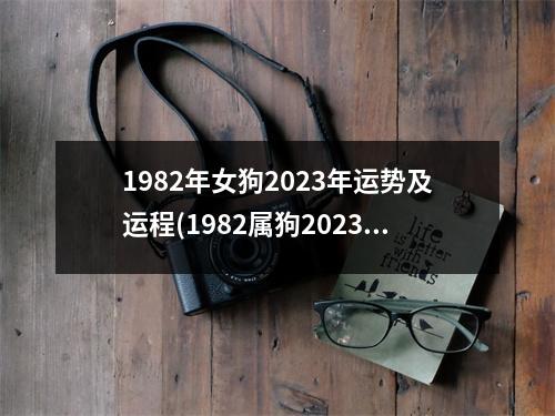 1982年女狗2023年运势及运程(1982属狗2023危险的一个月)