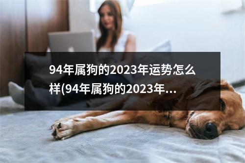 94年属狗的2023年运势怎么样(94年属狗的2023年运势怎么样婚姻)