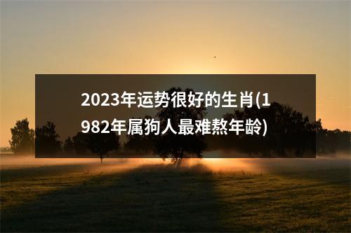 2023年运势很好的生肖(1982年属狗人难熬年龄)