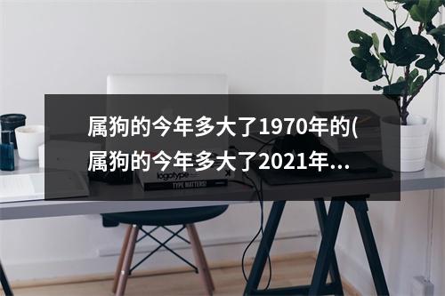 属狗的今年多大了1970年的(属狗的今年多大了2021年)