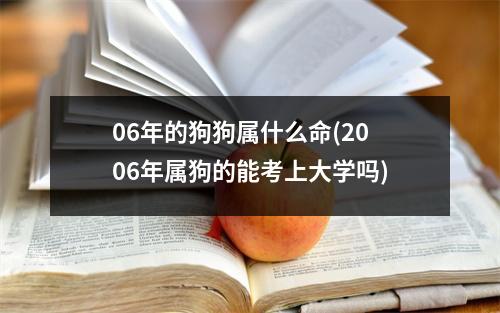 06年的狗狗属什么命(2006年属狗的能考上大学吗)