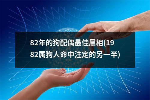 82年的狗配偶佳属相(1982属狗人命中注定的另一半)