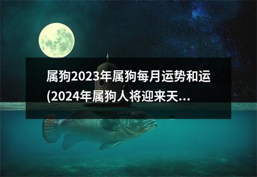 属狗2023年属狗每月运势和运(2024年属狗人将迎来天塌大事)