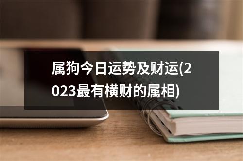 属狗今日运势及财运(2023有横财的属相)