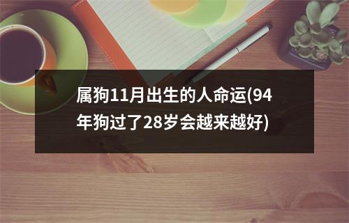 属狗11月出生的人命运(94年狗过了28岁会越来越好)