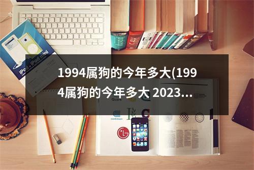 1994属狗的今年多大(1994属狗的今年多大 2023)