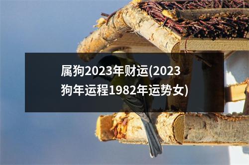 属狗2023年财运(2023狗年运程1982年运势女)