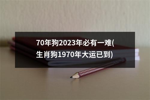 70年狗2023年必有一难(生肖狗1970年大运已到)