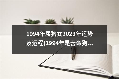 1994年属狗女2023年运势及运程(1994年是苦命狗还是富狗)