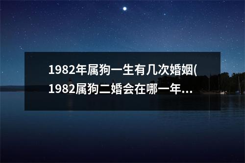 1982年属狗一生有几次婚姻(1982属狗二婚会在哪一年)