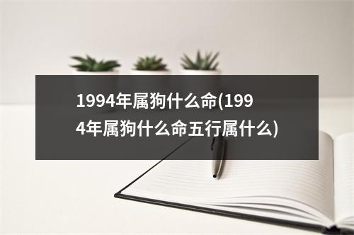 1994年属狗什么命(1994年属狗什么命五行属什么)