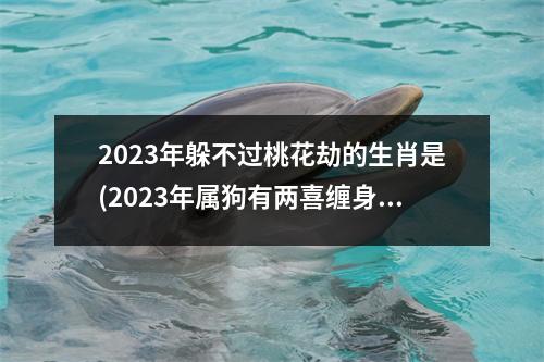 2023年躲不过桃花劫的生肖是(2023年属狗有两喜缠身)