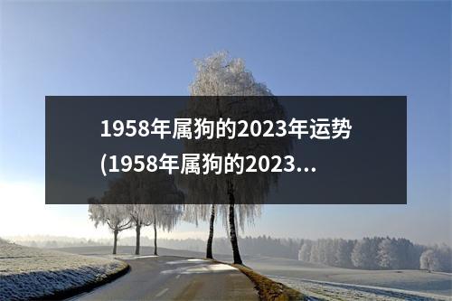 1958年属狗的2023年运势(1958年属狗的2023年运势和财运怎么样)