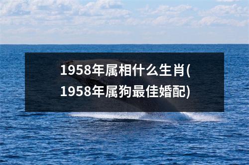 1958年属相什么生肖(1958年属狗佳婚配)