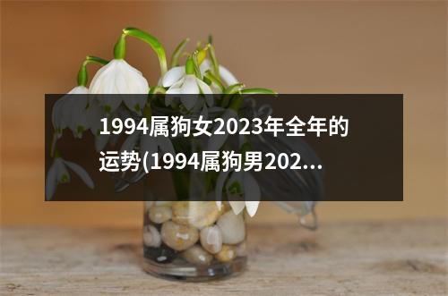 1994属狗女2023年全年的运势(1994属狗男2023年全年的运势)