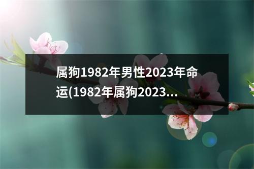 属狗1982年男性2023年命运(1982年属狗2023年运势和事业爱情怎样)