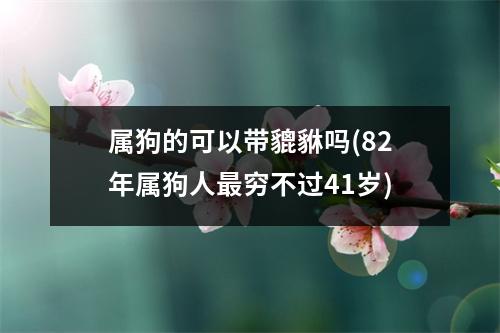 属狗的可以带貔貅吗(82年属狗人穷不过41岁)