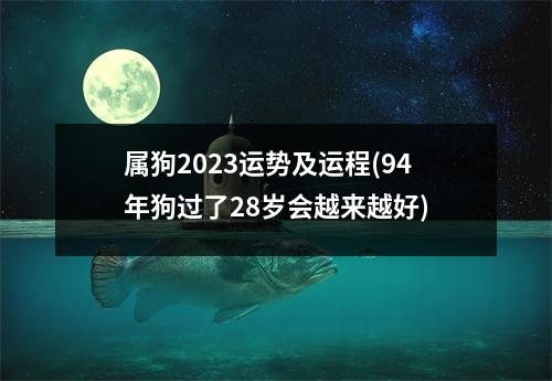 属狗2023运势及运程(94年狗过了28岁会越来越好)