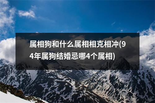 属相狗和什么属相相克相冲(94年属狗结婚忌哪4个属相)