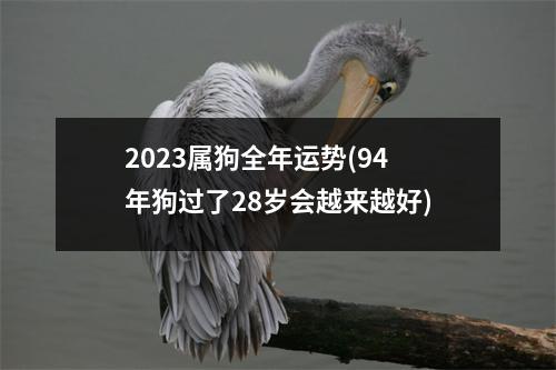 2023属狗全年运势(94年狗过了28岁会越来越好)