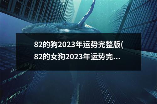 82的狗2023年运势完整版(82的女狗2023年运势完整版)