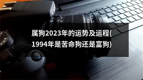 属狗2023年的运势及运程(1994年是苦命狗还是富狗)