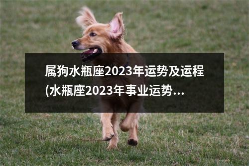 属狗水瓶座2023年运势及运程(水瓶座2023年事业运势)