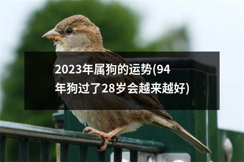 2023年属狗的运势(94年狗过了28岁会越来越好)