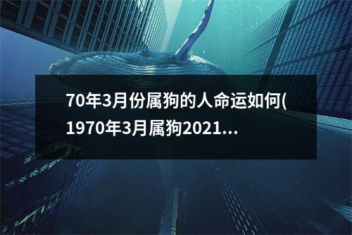 70年3月份属狗的人命运如何(1970年3月属狗2021年运势及运程)