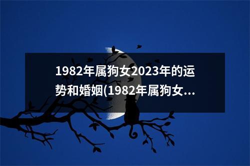 1982年属狗女2023年的运势和婚姻(1982年属狗女2023年的运势和婚姻状况大家找算命网)