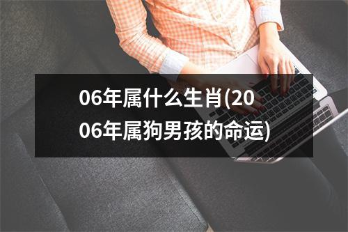 06年属什么生肖(2006年属狗男孩的命运)