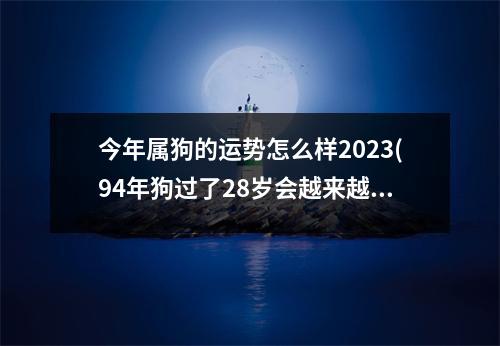 今年属狗的运势怎么样2023(94年狗过了28岁会越来越好)