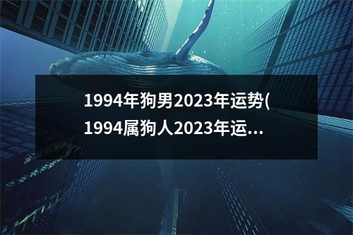 1994年狗男2023年运势(1994属狗人2023年运势运程)