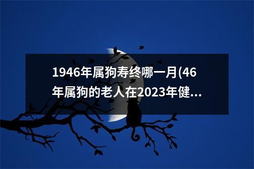 1946年属狗寿终哪一月(46年属狗的老人在2023年健康)