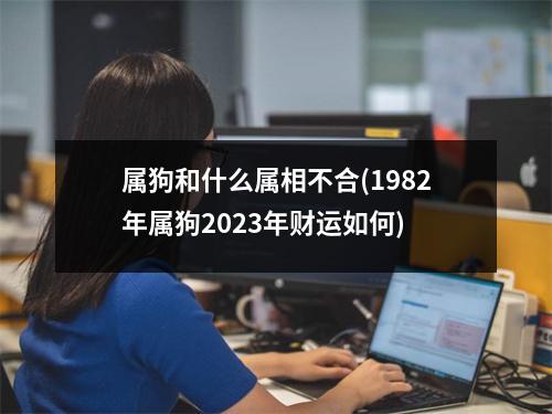 属狗和什么属相不合(1982年属狗2023年财运如何)