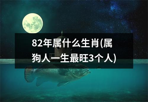 82年属什么生肖(属狗人一生旺3个人)