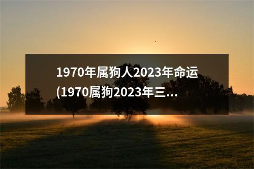 1970年属狗人2023年命运(1970属狗2023年三大喜事)