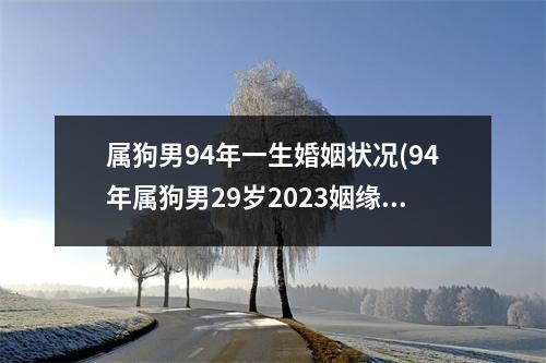 属狗男94年一生婚姻状况(94年属狗男29岁2023姻缘)