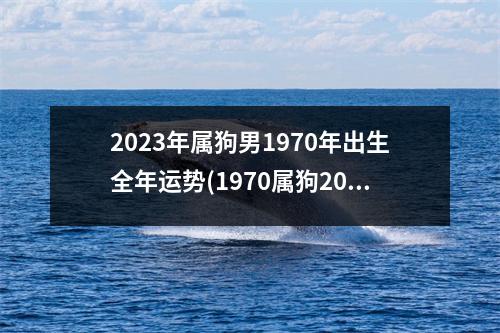 2023年属狗男1970年出生全年运势(1970属狗2023危险的一个月)