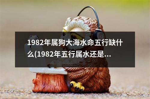 1982年属狗大海水命五行缺什么(1982年五行属水还是属土)