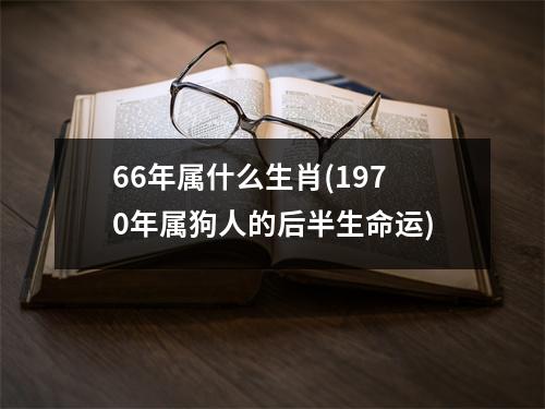 66年属什么生肖(1970年属狗人的后半生命运)