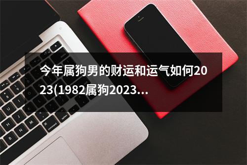 今年属狗男的财运和运气如何2023(1982属狗2023年的财运如何)