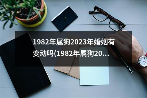 1982年属狗2023年婚姻有变动吗(1982年属狗2023年婚姻会好吗)