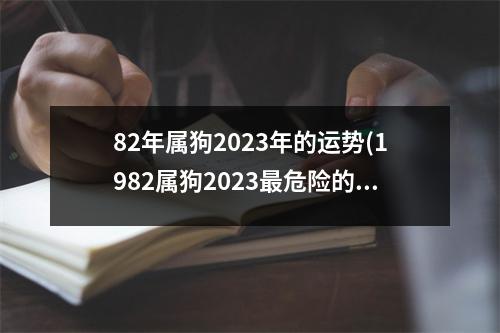 82年属狗2023年的运势(1982属狗2023危险的一个月)