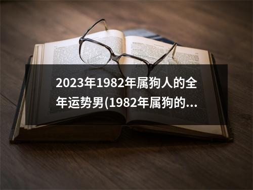 2023年1982年属狗人的全年运势男(1982年属狗的转折点在哪)